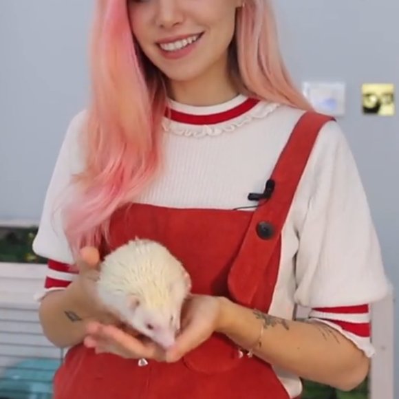 (sold) W Closet Ribbed Knit Top with Frills (ライン入りリブニット) - Picture 6 of 6